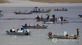 완도대교 앞바다 때아닌 주꾸미 낚시 한창