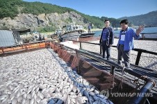 추석연휴 적조로 경남 양식어류 113만 마리 폐사(종합)