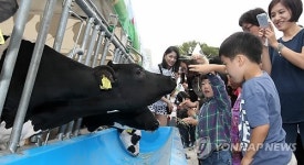 즐거운 도심 속 목장 나들이
