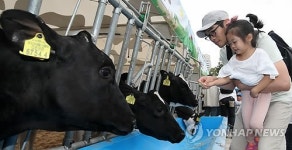 즐거운 도심 속 목장 나들이