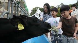 즐거운 도심 속 목장 나들이