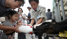 즐거운 도심 속 목장 나들이