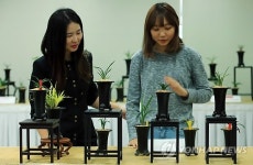 한국 춘란 경매 출하품 사전 전시회