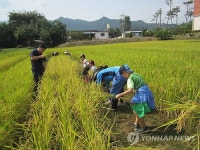 <카메라뉴스> 곡성 농장서 현장체험 가족 나들이