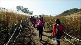 한국 억새 감상 1번지 포천 명성산 11∼12일 축제