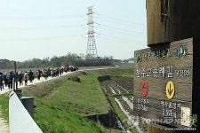 내포 천주교성지순례길 한국 산티아고 길로 조성