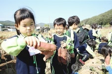 고구마 캤어요