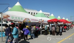 6년근 강원 늘푸름 홍천인삼·한우 명품축제 개막