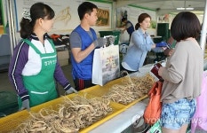 농업회사법인홍천6년근인삼(주)제2공장 | 강원 홍천서 6년근 인삼 축제 성황