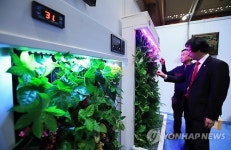 식물 이용한 친환경 공기청정기