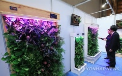 식물 이용한 친환경 공기청정기