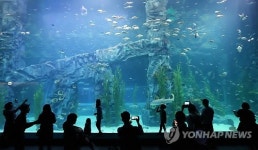 롯데월드 아쿠아리움 개장 후 첫 주말