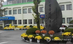  화순 청풍면사무소 국화로 새 단장