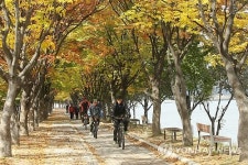 가을이 짙어가는 춘천 공지천 가로수 길