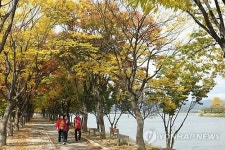 가을이 짙어가는 춘천 공지천 가로수 길