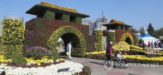 익산서 열린 국화축제