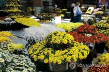 원주교도소 수용자 국화 전시회