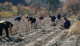 인제국유림관리소 산촌마을 일손돕기