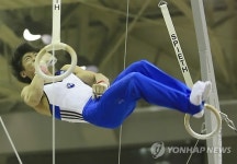 제주체전서 링 연기 펼치는 양학선