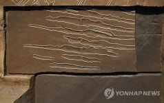 5세기 밭 유적 출현 광주 신창동유적