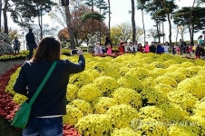 홍주성 천년여행길 야생화로 아름답게