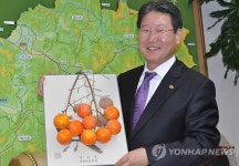 영동군이 제작한 홍보용 감 주저리