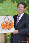 영동군이 제작한 홍보용 감 주저리