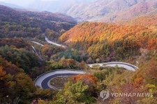 <카메라뉴스> 만추의 영동 도마령…단풍 장관