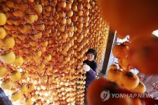 맛있는 명품 강릉곶감이래요