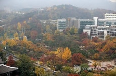 남산에 찾아온 가을