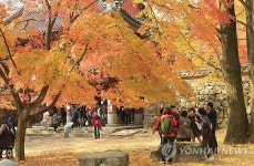 절정 이른 내장산 단풍의 유혹
