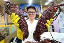 이게 바로 크레이피쉬!