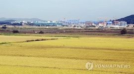 3년간 축구장 7천개 넓이 경기도 농지 사라져