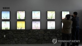 천연기념물 제주한란 감상하세요…전시관 개관