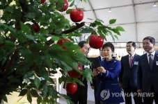 과수 재해 평가 촬영해보는 박 대통령