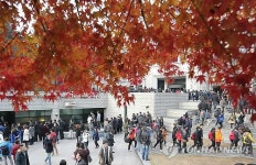고려대·이대·중앙대 등 수시논술…대체로 평이