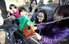 새솔초 새집 만들기 프로젝트