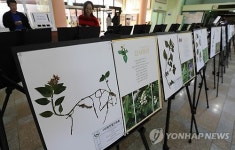 제주 곶자왈엔 이런 식물들이 살아요