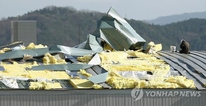 강풍에 경주 안강제일초교 강당 지붕 절반 파손