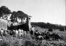 수원박물관 1939년 수원 영화로 본다