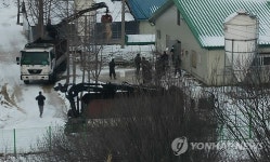 진천서 살처분되는 구제역 돼지