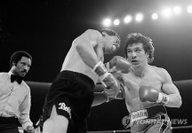 레이 맨시니, 국제복싱 명예의 전당 입성