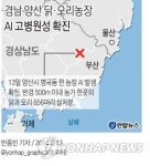 경남 양산 닭·오리농장 AI 고병원성 확진(종합)