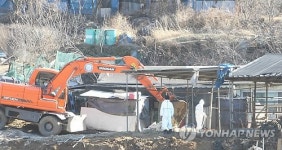 양산시, 고병원성 AI 양산 방역체제 유지