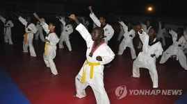 나이지리아서 한국대사배 태권도대회 열려