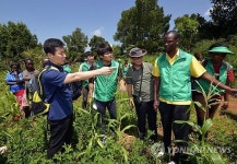 작황 살펴보는 지구촌새마을운동 시범사업 성과평가단
