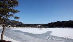 한파경보 제천…꽁꽁 얼어붙은 의림지