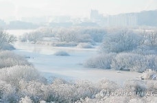한파에 피어난 소양강 상고대