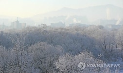 춘천 소양강에 피어난 상고대