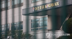 땅콩회항 조현아 사전구속영장 청구
